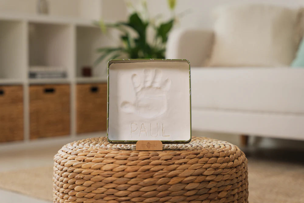 Petit Artichaut cutie cu kit amprenta pentru bebelusi 0m+ Olive Tree