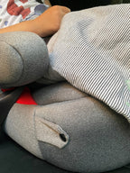 Petite&Mars inaltator auto Optimus 22-36 kg