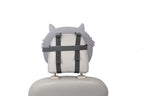  Racoon 84855 01