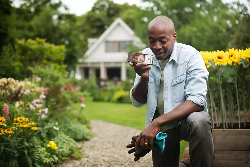 Philips Avent monitor video cu sistem de conectare prin aplicatie 0m+ 