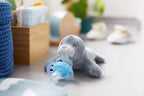  Foca SCF348-14.02