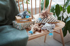 Philips Avent jucarie plus cu suzeta ultra soft 0m+