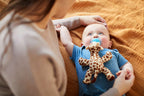  Girafa SCF348-11.05