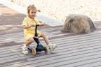 QPlay bicicleta si trotineta 2in1 Sema Evo LED 1-6 ani Coral Pink
