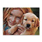 Quercetti joc Pixel Photo cu 16 plans 04