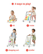 Skip Hop antepremergator 4in1 Explore&More 6m+