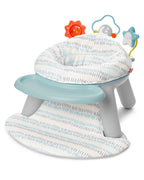 Skip Hop centru de activitati evolutiv 2in1 6m+, Silver Lining 01