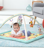 Skip Hop covor de joaca salteluta de activitati Bebe si Alfabetul 11