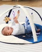 Skip Hop covor de joaca salteluta de activitati Vise placute 0m+ 03