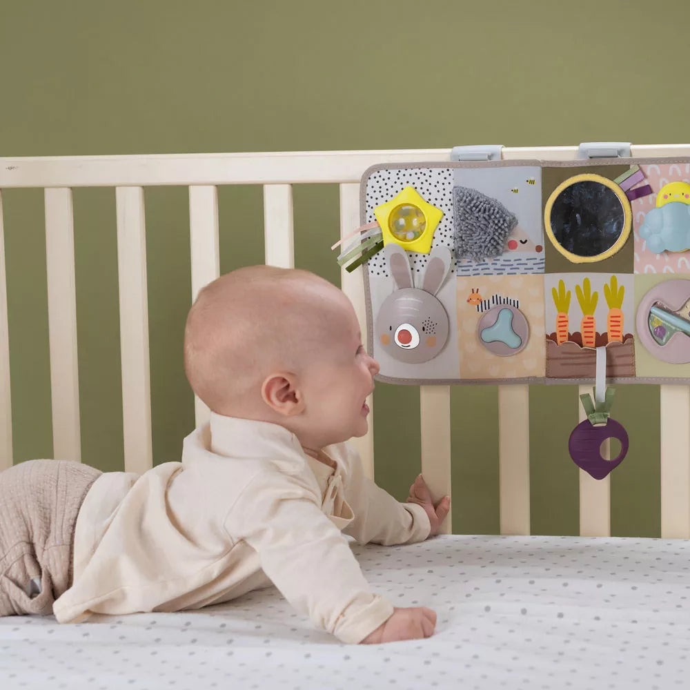 Taf Toys centru de activitati cu sunete si lumini Activity Center 6m+