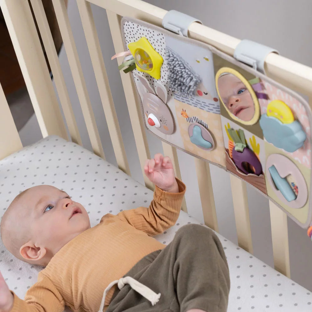 Taf Toys centru de activitati cu sunete si lumini Activity Center 6m+
