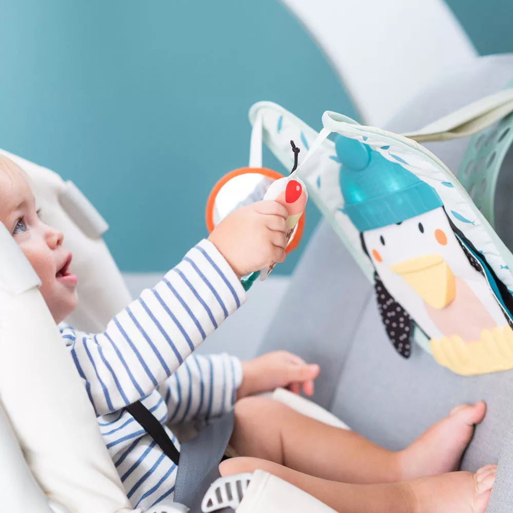 Taf Toys jucarie muzicala pentru masina Penguin Play and Kick 0m+