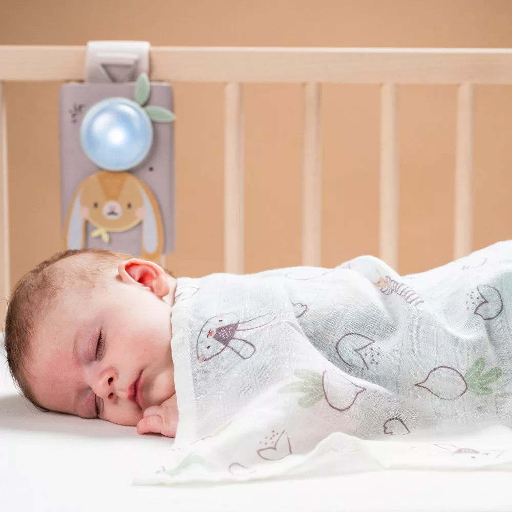 Taf Toys set lmapa de veghe muzicala cu paturica 0m+ Bunny