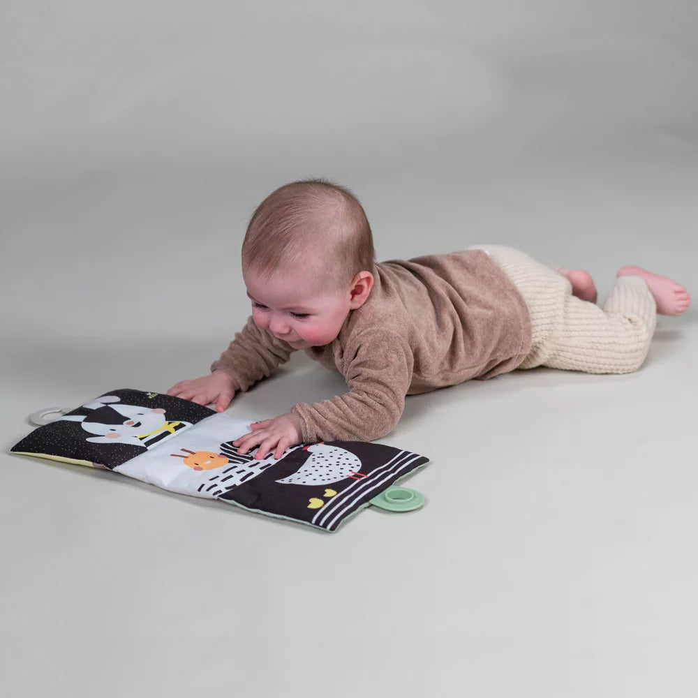 Taf Toys set Tummy-Time Essentials Kit 0m+