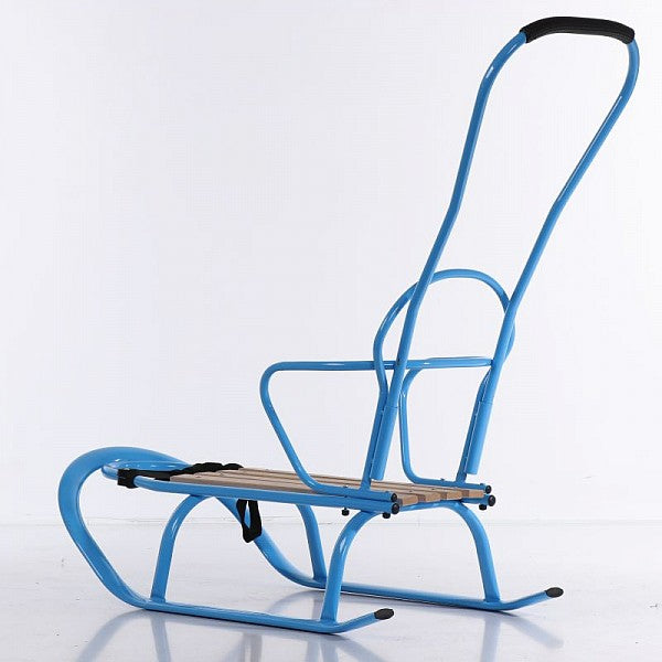 Tako sanie copii Fluo cu spatar si maner 6m+, Blue Imagine secundară a produsului