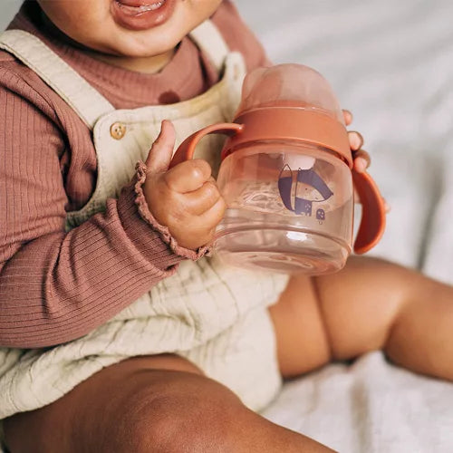 Tommee Tippee cana de tranzitie cu manere si cioc moale 150 ml 4m+