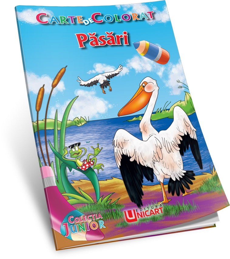 Unicart Carte de colorat Colectia Junior 3 ani+, Pasari 01 Imagine principală a produsului