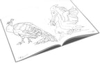  Pasari 01
