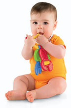 Fisher Price Jucarie dentitie Cheia Franceza 3m+