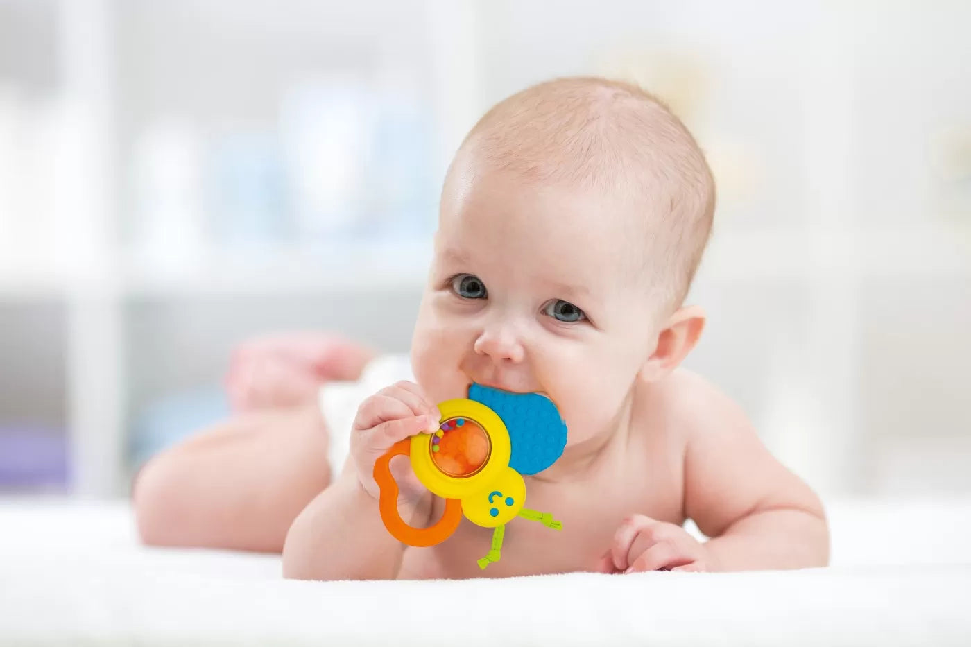 Winfun jucarie de dentitie si zornaitoare fluturas 0-18 luni