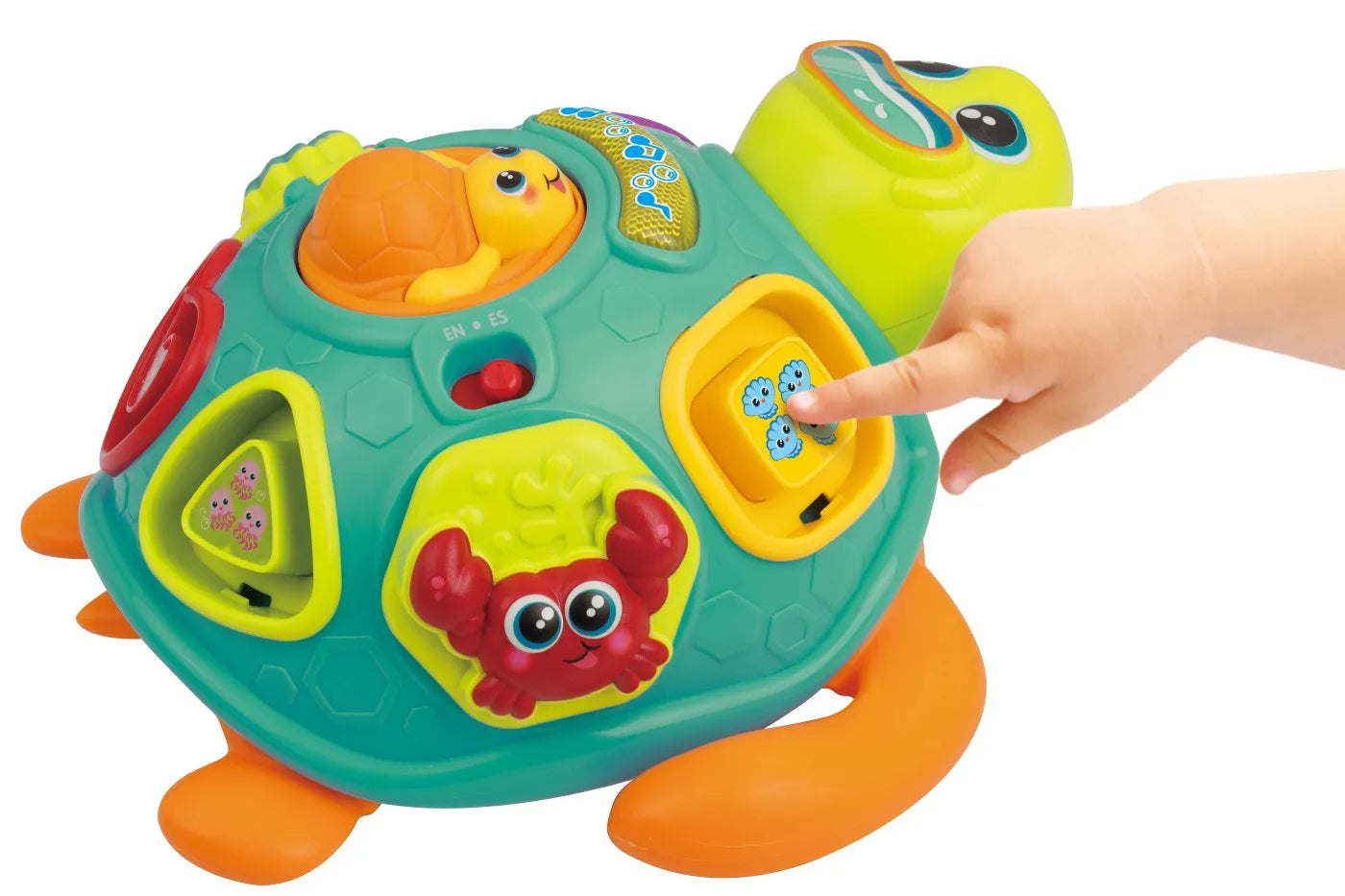 Winfun jucarie de tras testoasa cu forme 12m+