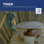 Zazu Kids iepurasul RO cu dispozitiv lumina si sunet 0m+ Verde