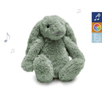 Zazu Kids iepurasul RO cu dispozitiv lumina si sunet 0m+ Verde
